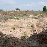 Friedhof “illegale Migranten” Sidero