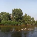 August 2010, immer wieder ertrinken Flchtlinge in den Fluten des Evros