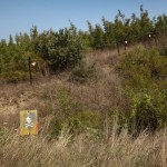 August 2010, Minenfeld am Fluss Evros, immer wieder sterben hier Fluechtlinge auf dem Weg von der Tuerkei nach Griechenland