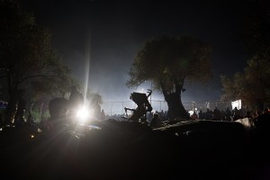 A buggy parked on an olive tree field / copyright: Salinia Stroux